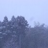 佐渡　ベチャベチャの雪