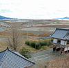 津波に耐えた浄土寺の松─陸前高田市