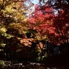 紅葉狩りも兼ねて遠江国一宮の小國神社を参拝（Okunijinjya, SHIZUOKA）