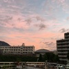 雨上がり・空・花