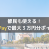 【都民も使える！】かながわpayで最大３万円分のポイントをもらおう