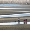 海辺で蟹と戯れる