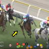 カネラフィーナ　新潟牝馬ステークス優勝