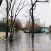 テレフォンナンバー
