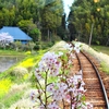 小湊鐡道　里山トロッコ⑧　有名な飯給駅風景を車内から^^
