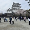 【小トリップ】日帰りで小田原城へ