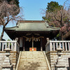 大塚八幡神社＠桜