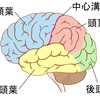 「ワーキングメモリが活性化される理由」