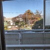 11/28(木)　今日は、とっても豪勢な１日だった！余り歩かなかったけど、心は、満ちている！　奇跡の１日だったね！