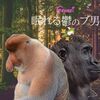 【日常】眠れる鬱のブ男