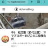 ブログ名変更！さくら、ついに中3になる。