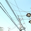 3月25日…晴れ。