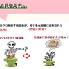 二十四節気スイング　　芒種