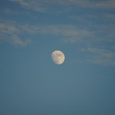 好きこそ雲翳の光なれ