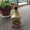 アブラムシ殺虫剤 オールスタースプレーを試してみた