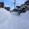 札幌市  24時間降雪量29cm