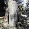  法華経寺のお花見