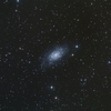 NGC2403