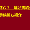 愛知杯Ｇ３　逃げ馬紹介（おまけに２番手候補紹介）