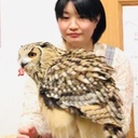 相棒ふくろう🦉と歴史一周、地球一周