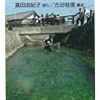 生活環境主義でいこう！　琵琶湖に恋した知事　岩波ジュニア新書