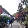 紅葉の三都を巡る～長岡京・平安京・大津京⑤