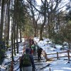 勝俣部長の「高尾登山と健康体質作り」４６８････懸命に　ひつこい