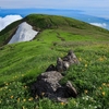 鳥海山ー残雪と花の季節ー