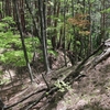 埴原城　再び（長野県　松本市）1　　小笠原氏系城塞群