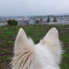 ペンキ屋さん
