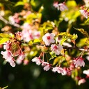 公園 観光スポット 穴場スポット 探索日記