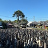 暑い