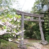 島根県雲南市の掛合町にある「八重山神社」を目指す ⑤ ‥