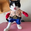 出掛けられなくなったら家でのんびり過ごそう！