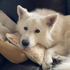 元旦の主婦業とダラダラ生活