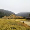 ラコリーナ近江八幡　カンブリア宮殿