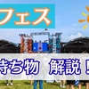 【動画作りました!】夏フェスに持っていくもの解説! 夏フェスに10回以上参加している私が考える「必需品」と「あると便利なもの」まとめ!