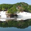 大厳寺高原の新緑