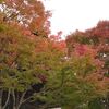 高野山に行ってきました。