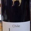 Santa Helena Alpaca Cabernet MerLot 2018 ～　マコガレイ、ムシガレイ、アジ