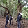 ５月８日（水）15：55からのYAB番組「YOU！どきっ」に俵山の能満寺のスダジイが紹介されます。