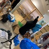 うめだ半径1キロMACHIまつりは1月11日まで開催中です！