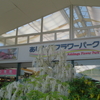 藤日和＼(^o^)／