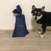 こだわりのないこだわり