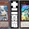 【真竜剣皇マスターＰ】