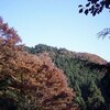 山登りました。