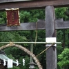 （日高・飯能）今日の高麗神社（13日目）