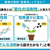 論理の原則「因果性」って何？┃コップは割れるか！？