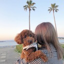 momo blog