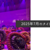2025年7月のタイトル画像